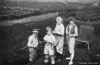 Stor Moserovedderkop